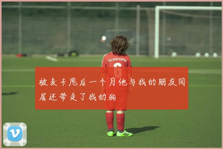 被麦卡甩后一个月他与我的朋友同居还带走了我的狗