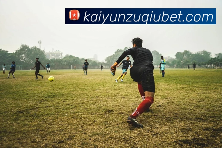 开云体育全站App